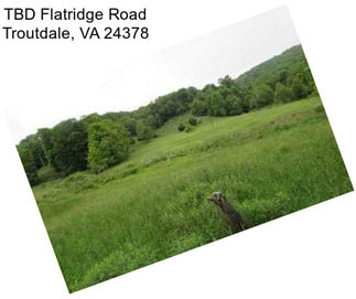 TBD Flatridge Road Troutdale, VA 24378