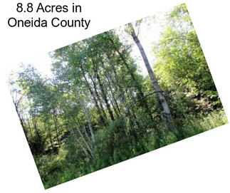 8.8 Acres in Oneida County