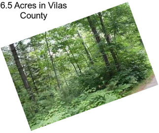 6.5 Acres in Vilas County