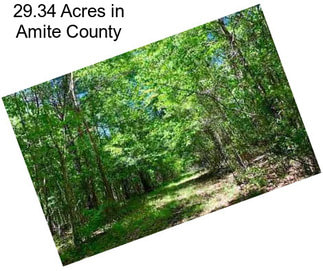 29.34 Acres in Amite County