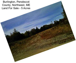 Burlington, Penobscot County, Northwest, ME Land For Sale - 5 Acres