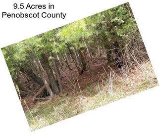 9.5 Acres in Penobscot County