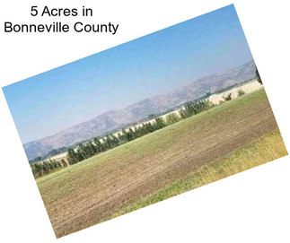 5 Acres in Bonneville County