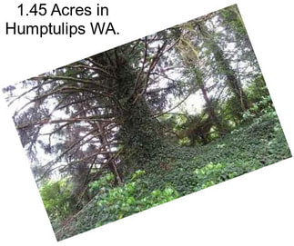 1.45 Acres in Humptulips WA.