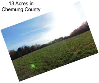 18 Acres in Chemung County