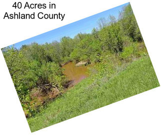 40 Acres in Ashland County