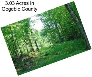 3.03 Acres in Gogebic County