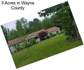 3 Acres in Wayne County