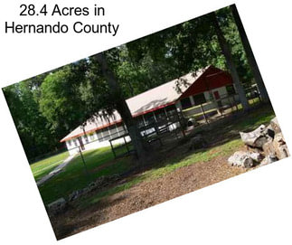 28.4 Acres in Hernando County