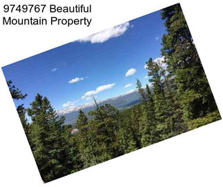 9749767 Beautiful Mountain Property