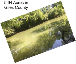 5.64 Acres in Giles County
