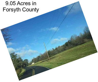 9.05 Acres in Forsyth County