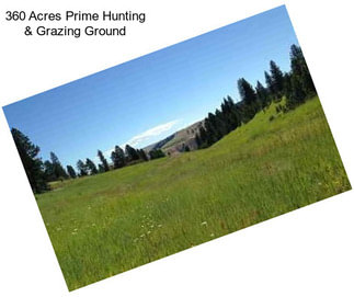 360 Acres Prime Hunting & Grazing Ground