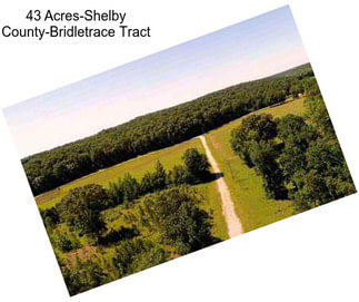 43 Acres-Shelby County-Bridletrace Tract