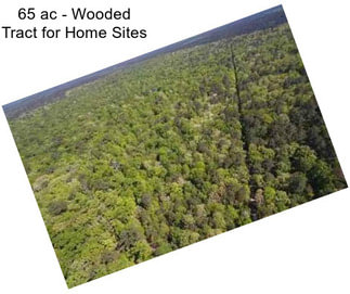 65 ac - Wooded Tract for Home Sites