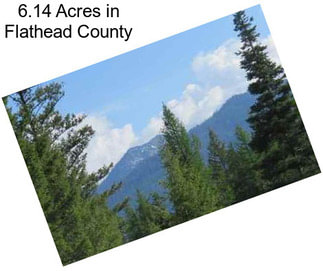 6.14 Acres in Flathead County