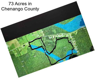 73 Acres in Chenango County