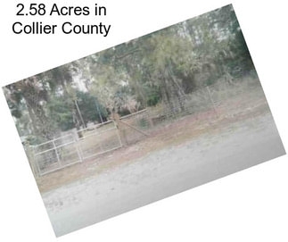 2.58 Acres in Collier County