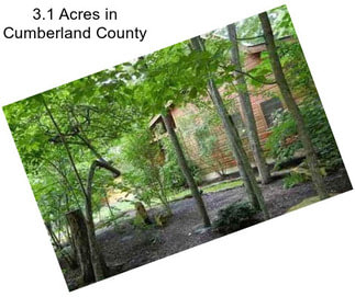 3.1 Acres in Cumberland County