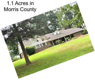 1.1 Acres in Morris County