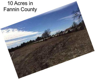 10 Acres in Fannin County