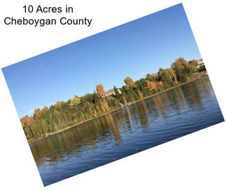 10 Acres in Cheboygan County