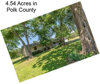 4.54 Acres in Polk County