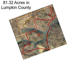 81.32 Acres in Lumpkin County