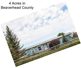 4 Acres in Beaverhead County