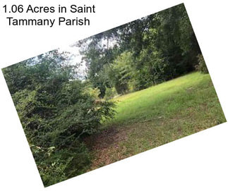 1.06 Acres in Saint Tammany Parish