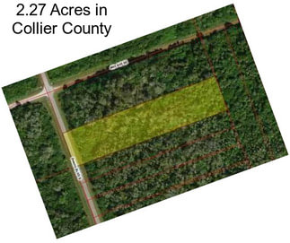 2.27 Acres in Collier County