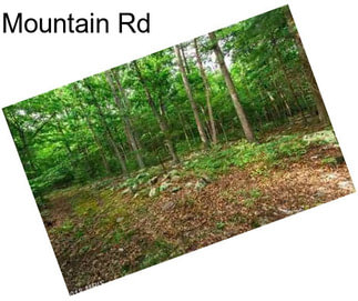 Mountain Rd