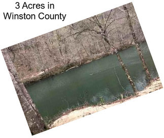 3 Acres in Winston County