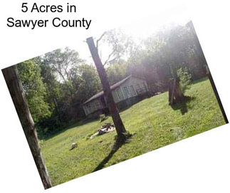 5 Acres in Sawyer County