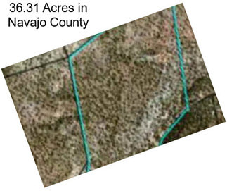 36.31 Acres in Navajo County