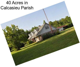 40 Acres in Calcasieu Parish