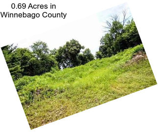 0.69 Acres in Winnebago County
