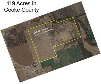 119 Acres in Cooke County