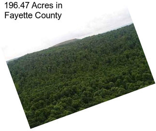 196.47 Acres in Fayette County