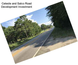 Celeste and Salco Road Development Investment