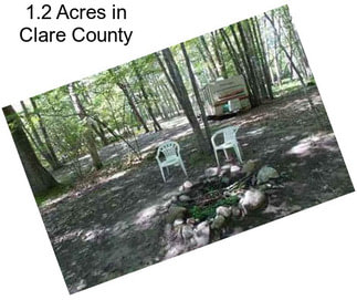 1.2 Acres in Clare County