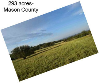 293 acres- Mason County