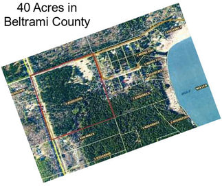 40 Acres in Beltrami County