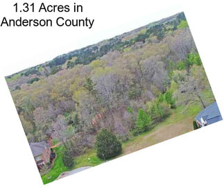 1.31 Acres in Anderson County