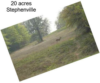 20 acres Stephenville