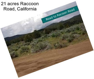 21 acres Raccoon Road, California