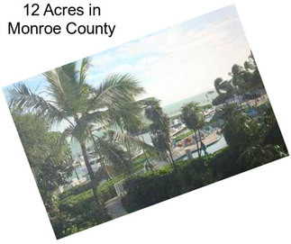 12 Acres in Monroe County