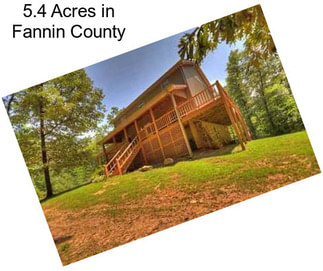 5.4 Acres in Fannin County