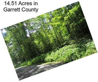 14.51 Acres in Garrett County