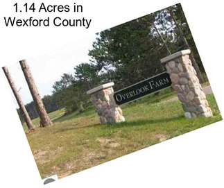 1.14 Acres in Wexford County